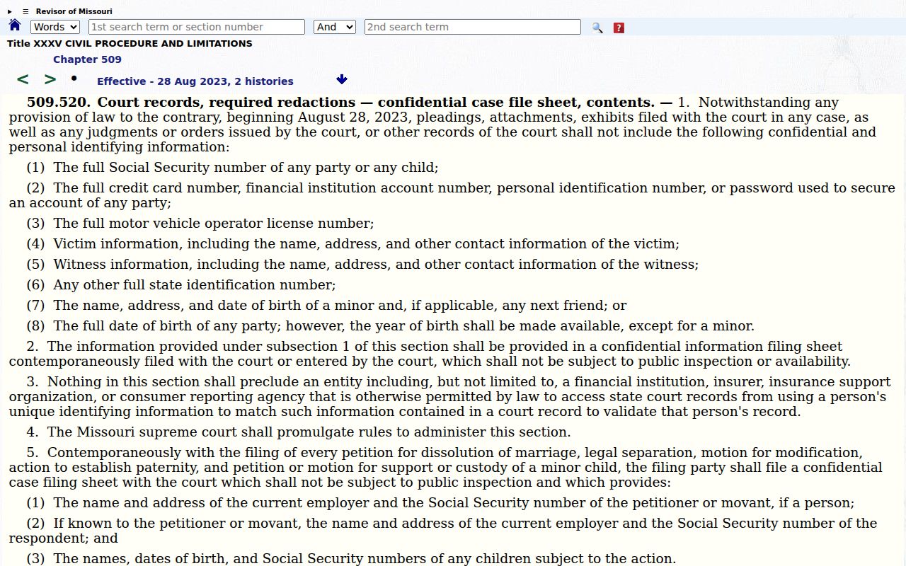 Cape Girardeau County civil docket confidential filing-sheet statute page